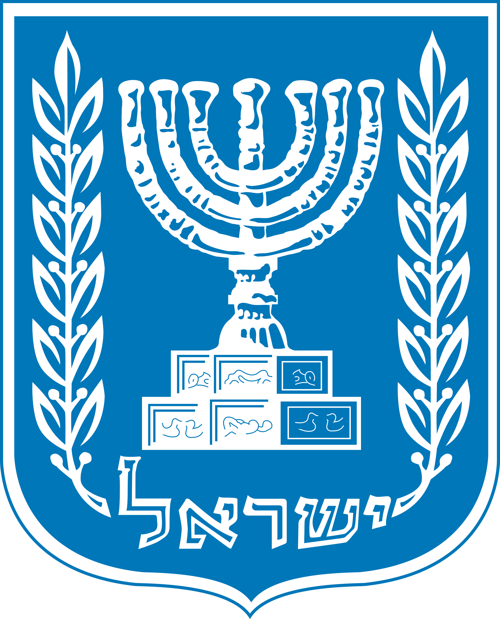 Certificado del Estado de Israel - ONG